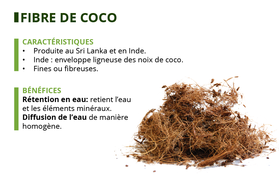 fibre de coco