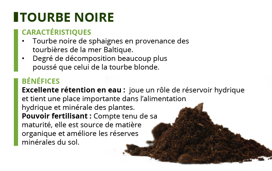 tourbe noire