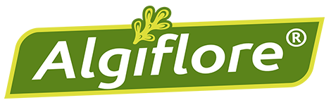 florentaise-algiflore